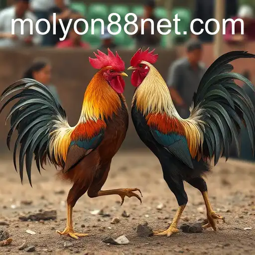 The Controversial World of Cockfighting: Society, Law, and Culture